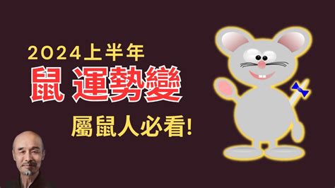 2024鼠年運程1996|1996年属鼠人2024年运势及运程详解 96年出生28岁生肖鼠2024年。